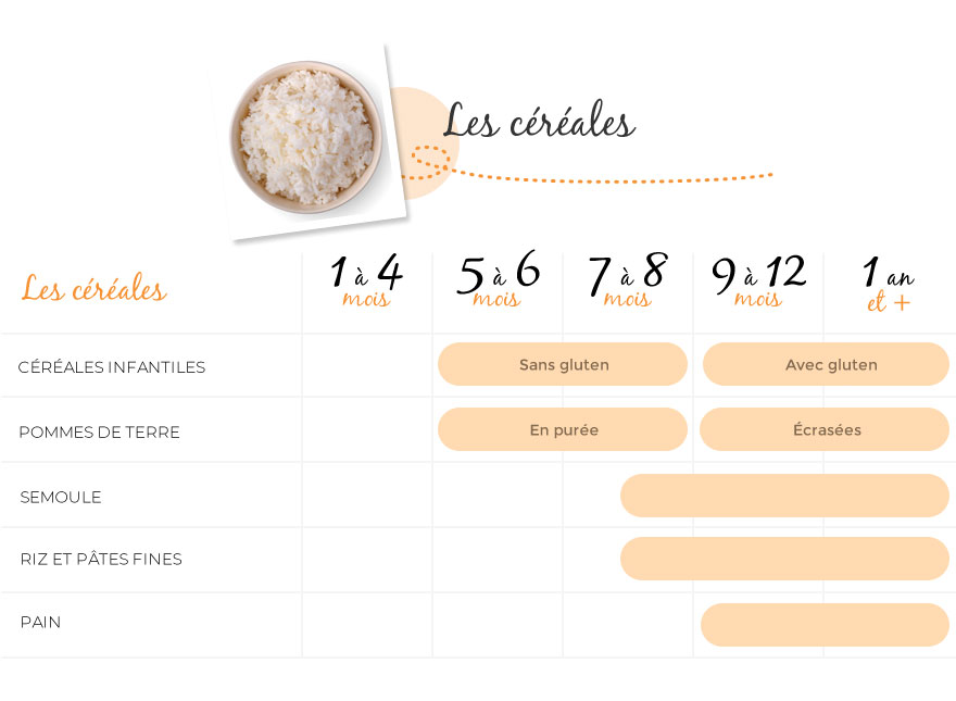 diversification alimentaire des céréales et féculents