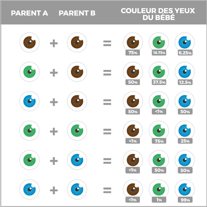 G n tique Transmission Des Caract res yeux Et Cheveux 