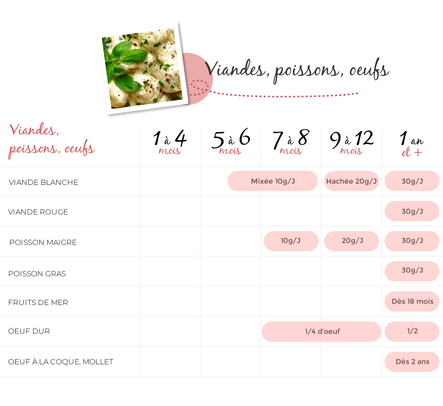 Tableau de la diversification alimentaire de bébé